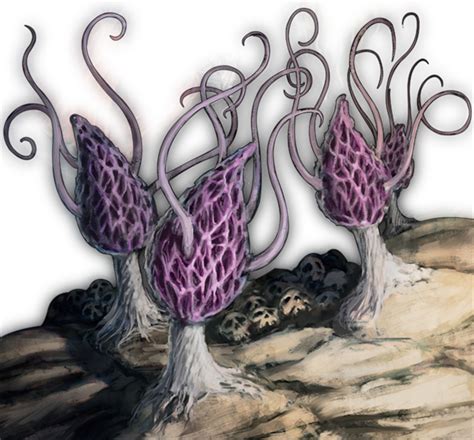 Violet Fungus - Monsters - D&D Beyond