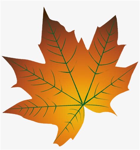 Autumn Leaf Color Cartoon Autumn Leaf Color - Cartoon Fall Leaves Png Transparent PNG ...