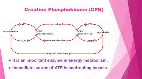 Isoenzymes. - ppt video online download