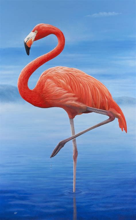 Colorful Flamingo Art Print