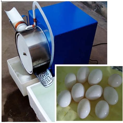 Egg washer machine egg cleaning machine automatic egg washing machine ...