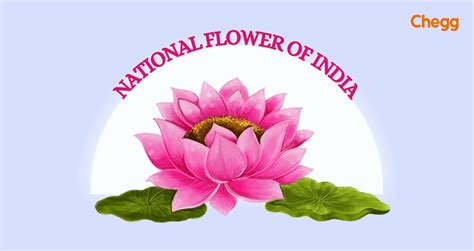 National Flower of India (21 March): Beauty, Pride & Symbol