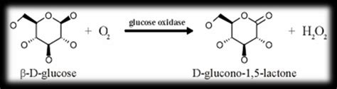 Reacción de la Glucosa Oxidasa Fuente: Zoldak et.al., 2004 | Download Scientific Diagram