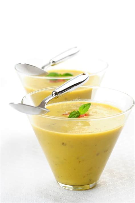 Soup Appetizer stock image. Image of lunch, garnish, soup - 19249693