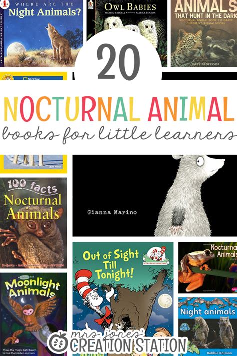 20 NOCTURNAL ANIMALS BOOKS - Mrs. Jones Creation Station