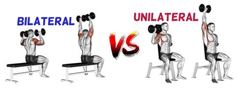 Unilateral training: Pros & Cons • Bodybuilding Wizard