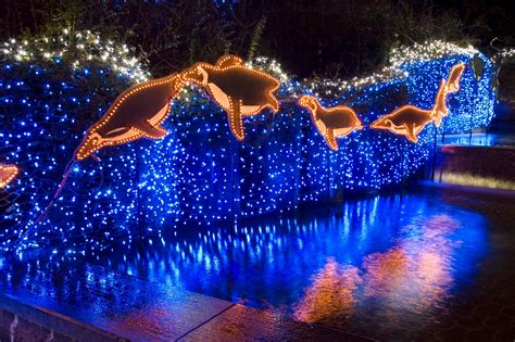 Zoo Lights - Explore Washington Park