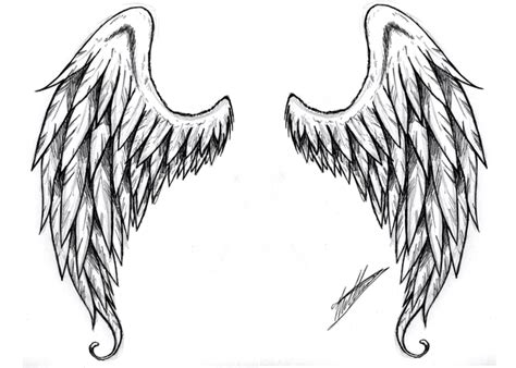 Angel Wings Drawing - How to Draw Angel Wings Step by Step