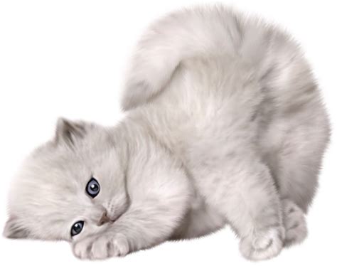 Persian cat Kitten Puppy Cuteness - Large PNG Cute Cat Picture png ...