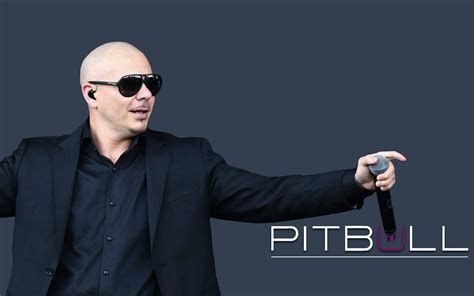 Pitbull Rapper Wallpapers - Top Free Pitbull Rapper Backgrounds ...