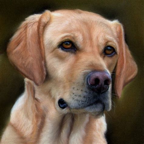 Custom Pet Portraits - Helen's Pet Portraits