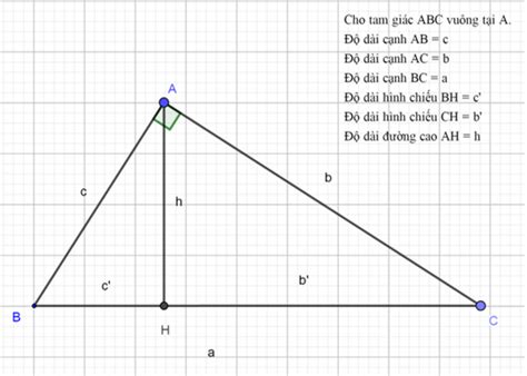 Các hệ thức lượng trong tam giác vuông| Chuyên đề Toán lớp 9