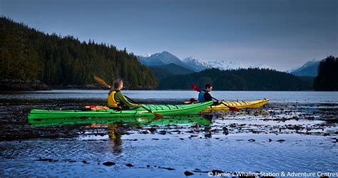 Kayaking Tours-One Dream Travel