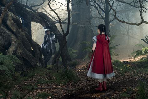 ‘Into the Woods’: Disney’s First Adult-ish Film | mxdwn Movies