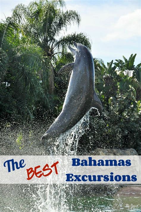 The Best Carnival Bahamas Excursions in Nassau & Freeport | Bahamas ...