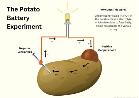 Potato Battery Experiment PDF Download Chemistry for Classroom Cool Science Experiment - Etsy