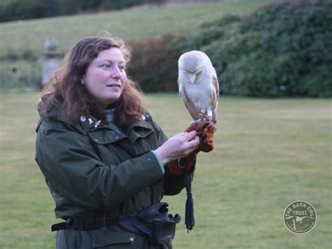 Thinking of keeping a captive Barn Owl? - The Barn Owl Trust