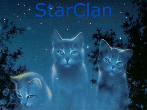 StarClan | Warrior Cats - The lost Wiki | FANDOM powered by Wikia