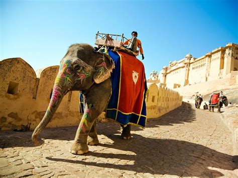 Experience Royal Rajasthan with Amber Fort Elephant Ride