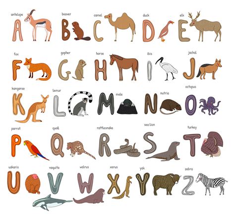 Zoo alphabet By kateja | TheHungryJPEG