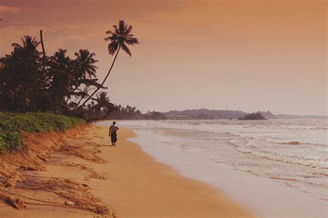 Beach,man,alone,summer,sea - free image from needpix.com