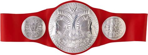 Amazon.com: WWE RAW Tag Team Championship Title : Sports & Outdoors