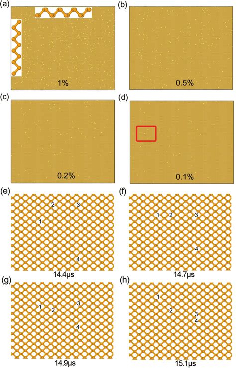 Initial lattice models with four different vacancy concentrations: (a)... | Download Scientific ...