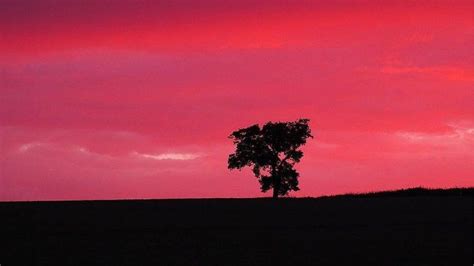 Spectacular pink and orange sunset lights up sky - BBC News