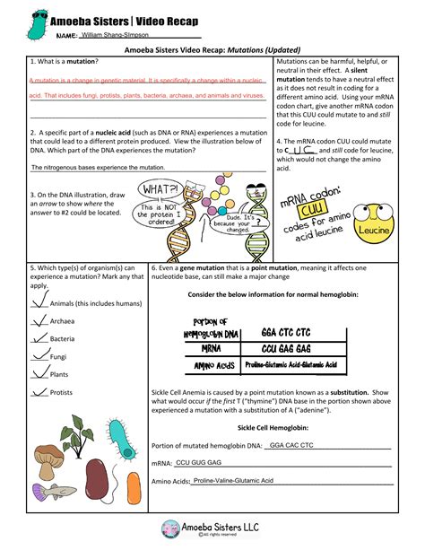 Protein Synthesis Amoeba Sisters Worksheet Answers