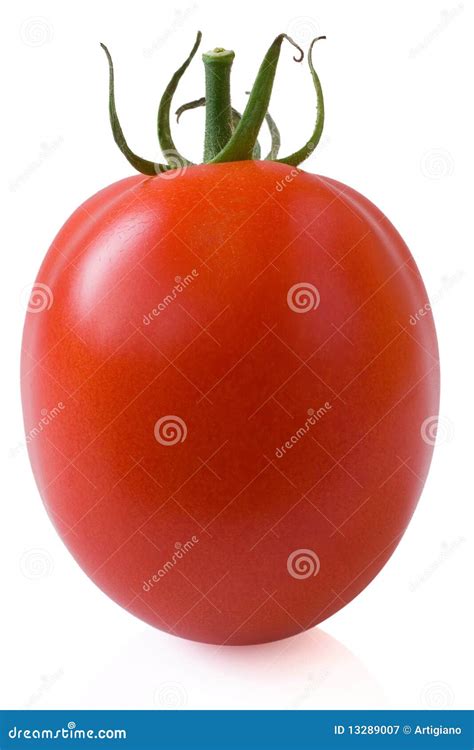 Plum tomato stock image. Image of vegetable, tomato, vegetarian - 13289007