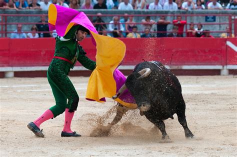 Madrid Bullfight Schedule 2024 - Janka Lizette