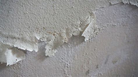 White Mold on Concrete | ABT Foundation Solutions, Inc.