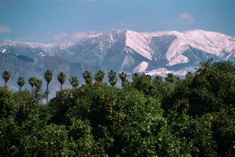 Why I Love Redlands, California Redlands California, California Dreamin', Us Travel, Time Travel ...