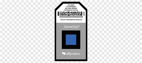 Affymetrix DNA microarray Microarray analysis techniques Gene chip analysis, text, wikimedia ...