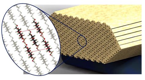 Plant-Based Cellulose Super Material is as Stiff as Steel | Inhabitat - Green Design, Innovation ...