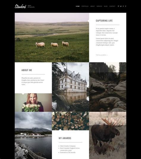 32+ Best Photography HTML Website Templates 2019 - Templatefor