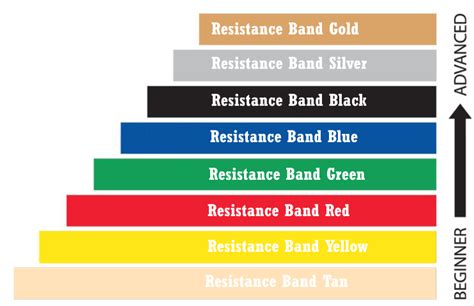 The Complete Guide To Resistance Bands | Workout Trends