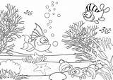 Ocean Habitat Pages Coloring Sketch Page sketch template
