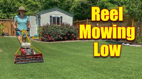 Gas Reel Mowers - Reel Mowing Low Grass - YouTube