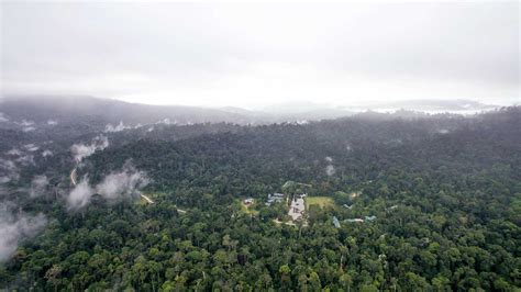 Maliau Basin: Trekking Sabah’s Lost World | Sticky Rice Travel