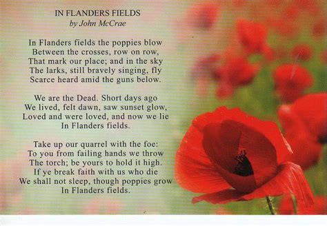 In Flanders Fields- poppy poem | Flanders field poppies, Flanders ...