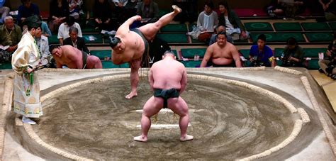 Sumō in Tōkyō erleben: Ein Wegweiser | JAPANDIGEST