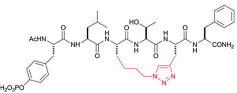 Cyclic Peptide Synthesis - Bio-Synthesis