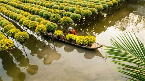 Mekong Delta | ADV Vietnam Motorcycle Tours