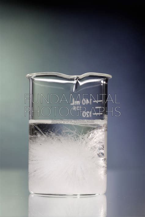 science chemistry solubility experiment supersaturation | Fundamental Photographs - The Art of ...