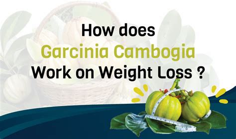 How does Garcinia Cambogia Work on Weight Loss? | Dynamic Nutrition