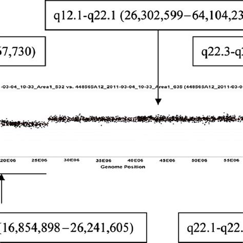 Oligonucleotide-based array-comparative genomic hybridization analysis... | Download Scientific ...