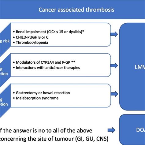 Algorithm for choosing anticoagulant therapy in cancer-associated ...