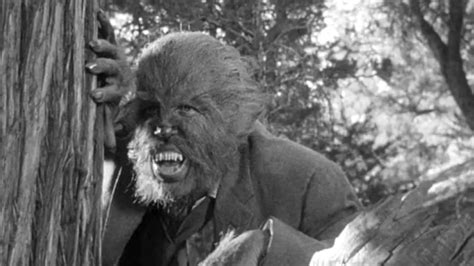 The 13 Best Werewolf Movies and Where to Stream Them