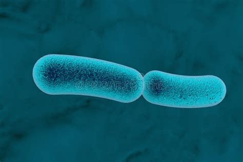 Klebsiella Bacteria, Rod-shaped Diplobacilli Stock Illustration ...